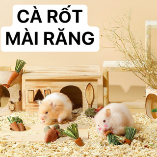 Cà rốt mài răng cho Hamster / Thỏ / Bọ Ú