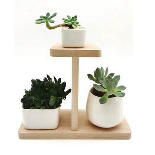 Kệ Gỗ Để Bàn Trang Trí Decor Bàn Học, Bàn Làm Việc, Kệ Để Chậu Cây Mini