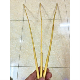 Combo 3 cây mây dài 80cm dẻo dai dùng để làm cảnh