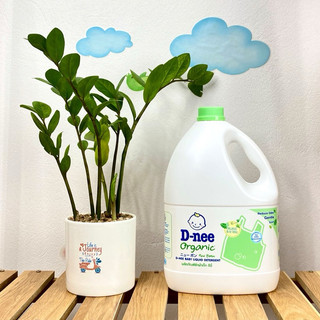 [Tem Đại Thịnh] Nước Giặt Dnee Thái Lan can 3000ml (mẫu mới)
