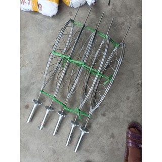 vỉ nướng cá nguyên con dài 60cm