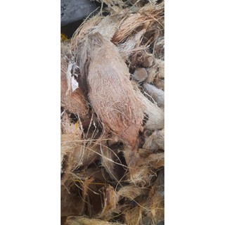 100g Xơ dừa phơi khô xé dùng lót chậu, trồng hoa lan giá cực tốt