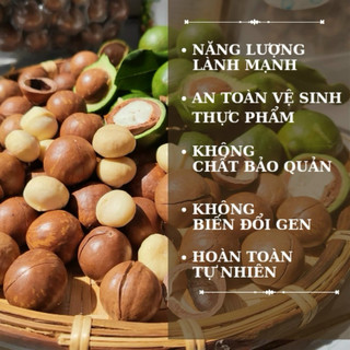 Macca hữu cơ sấy nứt Lâm Đồng , ngon đặc biệt