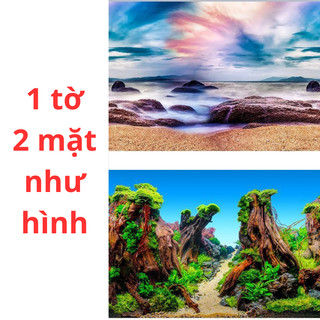 Tranh dán 3D trang trí bể cá cảnh