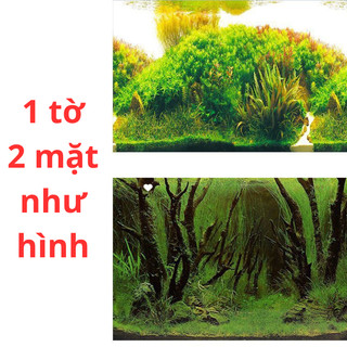 Tranh dán 3D trang trí bể cá cảnh