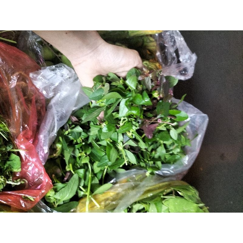 rau dệu 400g