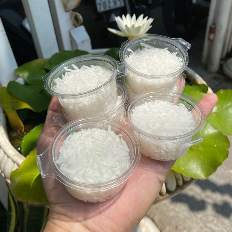 CƠM DỪA SẤY Thức ăn cho ốc rụt rè, ốc mượn hồn, cua ẩn sỉ hermitcrab