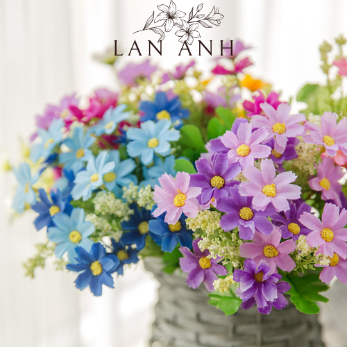 Hoa cúc họa mi, hoa cúc Daisy nhiều màu cắm lọ decor trang trí siêu đẹp