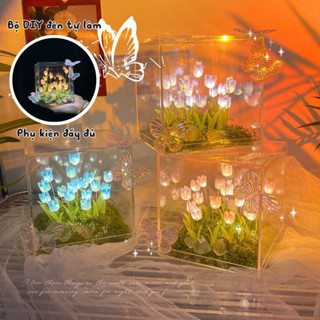  Hộp Hoa Tulip Đèn Tráng Gương Tự Tay Lắp Ráp. Trang Trí Phòng,Quà Tặng Đẹp,Phong Cách. Có Tặng Túi Đựng Quà 