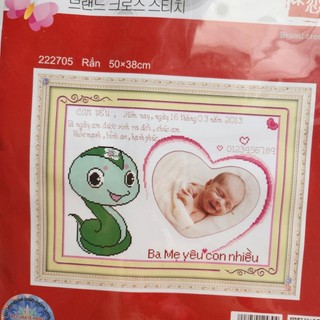 Tranh thêu chữ thập con rắn lồng hình 222705 chưa thêu 50x38cm