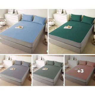 Chiếu điều hòa cao su non tencel latex đủ các kích thước từ 1mx2m đến 2mx2m2 nhaxinh1986