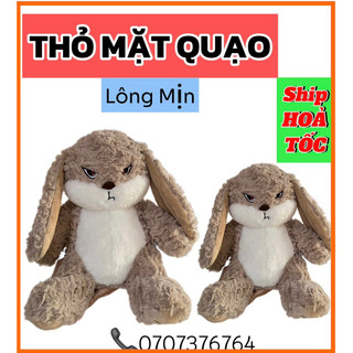 ❌kho sỉ❌ gấu bông thỏ mặt quạo siêu đáng yêu-hàng nhập cao cấp lông mịn