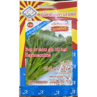 Hạt giống súp lơ mini gói 10 hạt nhập Thái Lan
