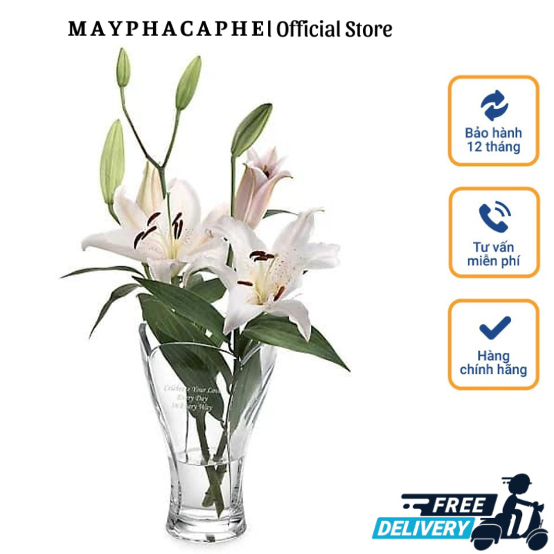 Lọ Hoa Pha Lê Cao Cấp Spiegelau Nachtman Florero, Bình Cắm Hoa, Cao 27cm, Made in Germany