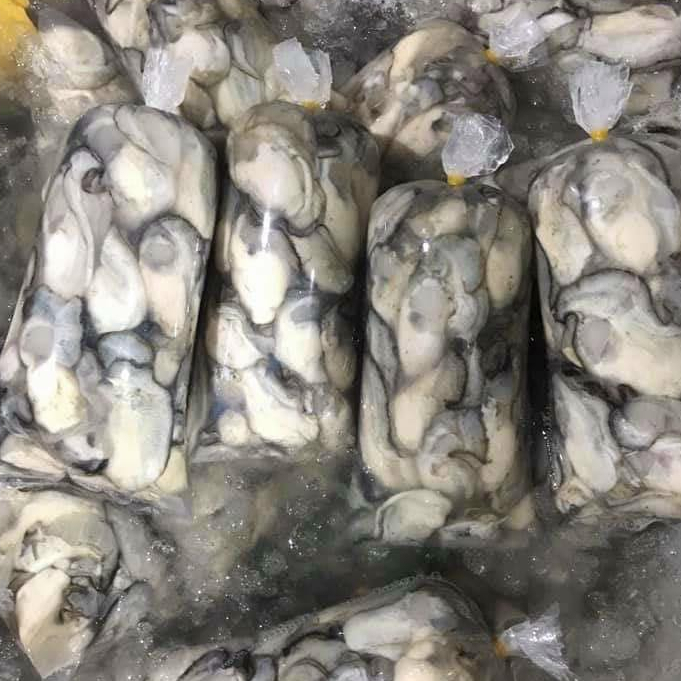 Hào sữa tươi túi 500gr (Ship hỏa tốc HCM)