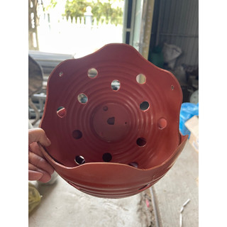 Chậu nhựa trồng lan f23HD lượn sóng