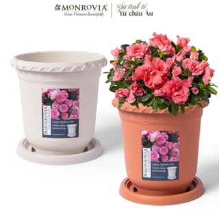 Chậu nhựa trồng cây Monrovia chuyên cho hoa hồng, cây cảnh, ban công, nhập khẩu, siêu bền bỉ