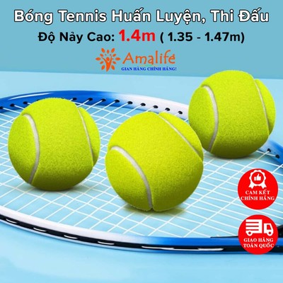 Combo 5 Quả Bóng Tennis Độ Nảy Cao Chuẩn Quốc Tế 1.4m Mới 100% Dùng Tập Luyện, Chơi Thi Đấu Tennis Chính Hãng Amalife