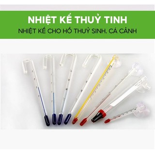 Nhiệt Kế Thuỷ Tinh - Nhiệt Kế Cho Hồ Thuỷ Sinh, Cá Cảnh