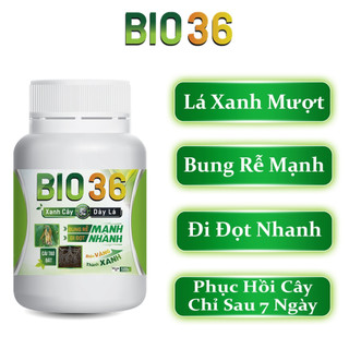 BIO 36 Siêu Kích Rễ Đi Đọt Nhanh, Xanh Cây, Dày Lá ( 500g )
