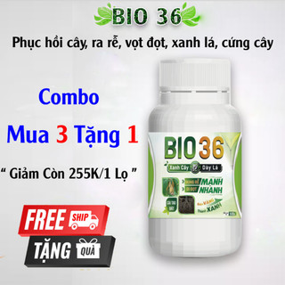 Combo 3 Hũ Tặng 01 Hũ Bio 36 Siêu Kích Rễ Đi Đọt
