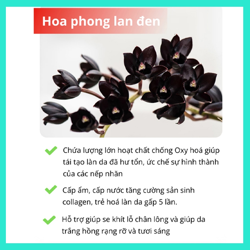 Kem chống lão hóa QINGLIN xóa thâm nám, mờ nếp nhăn và se khít lỗ chân lông Kem chống lão hoá - LECARO