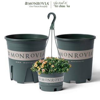 Chậu nhựa trồng cây MONROVIA cho hoa hồng, cây cảnh mini, trồng rau, để bàn, treo ban công, tiêu chuẩn Châu Âu