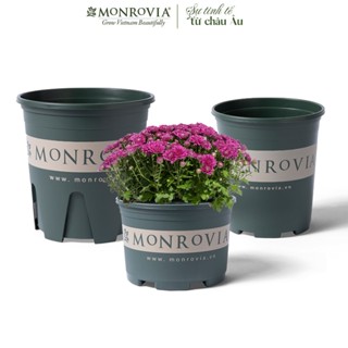 Chậu nhựa trồng cây MONROVIA size NHỎ, cây cảnh mini, trồng rau, hoa, để bàn, treo ban công, tiêu chuẩn Châu Âu