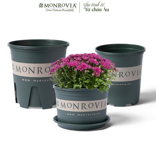 Combo chậu trồng cây size nhỏ MONROVIA kèm đĩa lót, cây cảnh mini, trồng rau, hoa, để bàn, ban công, tiêu chuẩn Châu Âu