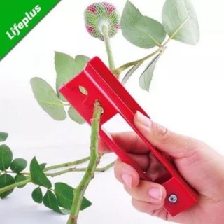 Kìm tuốt gai , lá hoa hồng,phụ kiện ngàng hoa tươi