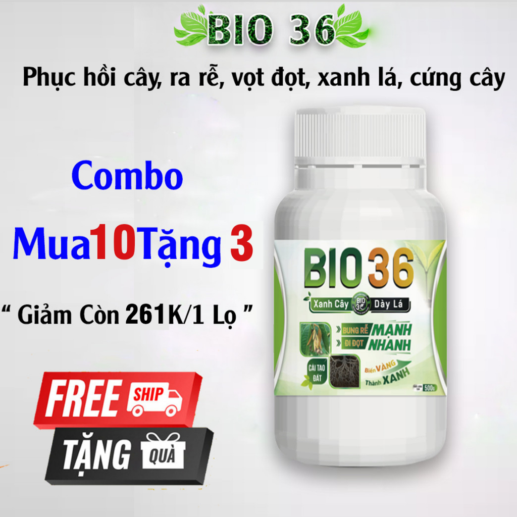 Combo 10 Hũ Tặng 03 Hũ Bio 36 Siêu Kích Rễ Đi Đọt