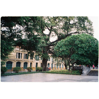 [Huy Bán Film] Phim Fuji Industrial 100 (Fuji nội địa 100)