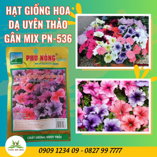 Hạt giống hoa Dạ Yên Thảo gân mix Phú Nông (Vườn Sài Gòn) hạt giống chắc khỏe tỉ lệ nẩy mầm 98%
