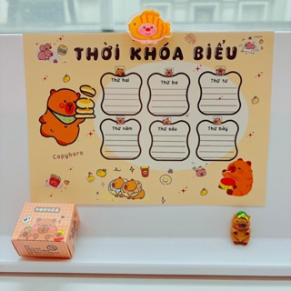SET 3 THỜI KHOÁ BIỂU LOOPY, CAPYBARA, GẤU DÂU, SANRIO đáng yêu đủ mẫu trong 1 bộ