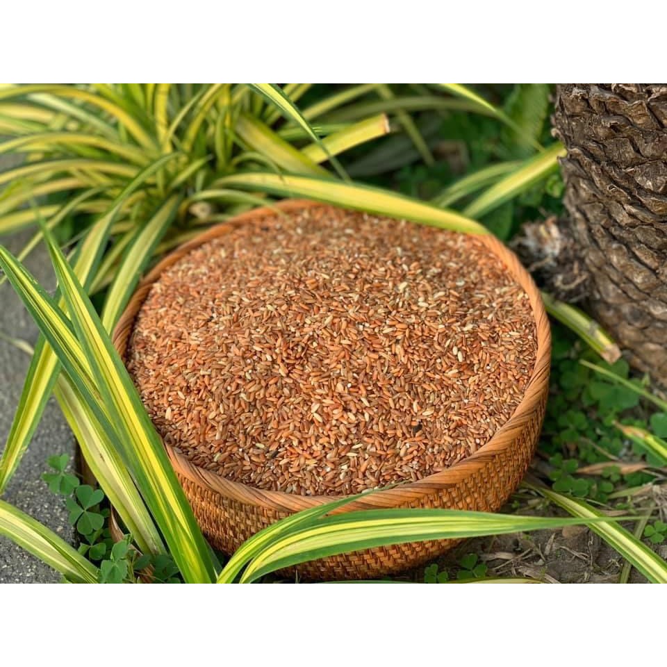 1kg Gạo Lứt Đỏ / Gạo Lứt Huyết Rồng Điện Biên_ANFOOD