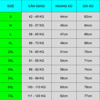 Áo thun nữ size lớn giá rẻ