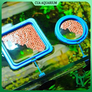 Vòng cho cá ăn , giữ thức ăn nổi | Khay cho cá ăn