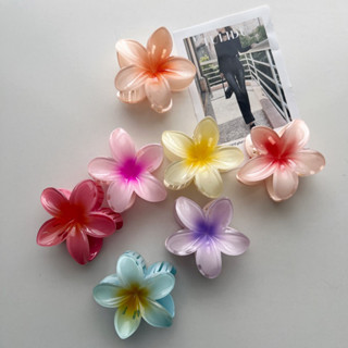  Kẹp Tóc Hoa Sứ Tráng Gương Phong Cách Thời Trang Cổ Điển Cho Nữ Nhiều Màu Tulidu 