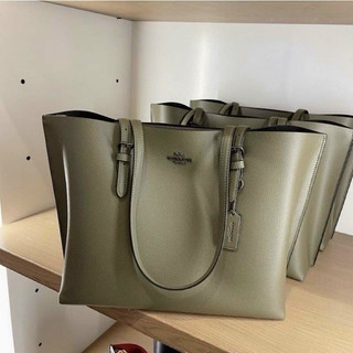 Túi Coach Tote Mollie công sở màu hiếm