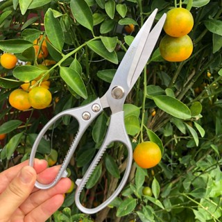 Kéo đa năng gia dụng nhà bếp,kéo inox đa năng SK5- Nhật Bản, kéo có lực mạnh để cắt đồ ăn chín, rau ,xương gà,cạo vảy cá