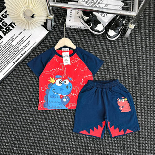Bộ cotton khủng long bé trai 2-7y