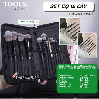 Set cọ black pro