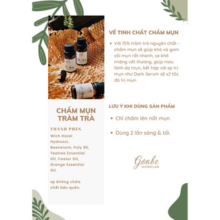 TINH CHẤT CHẤM MỤN