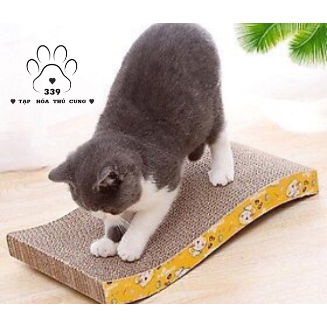 BÀN CÀO MÓNG ĐỒ CHƠI CHO MÈO