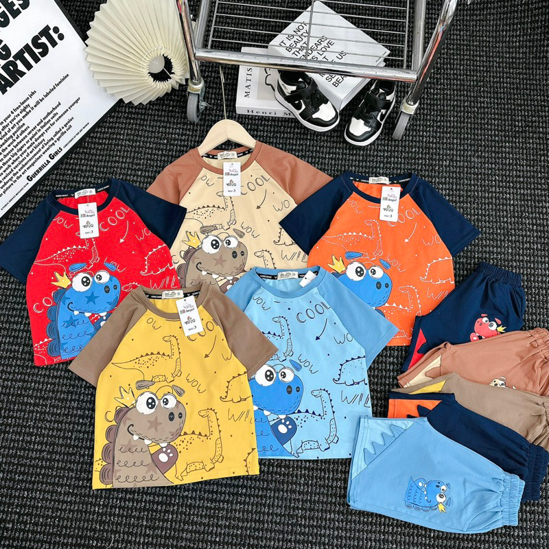Bộ cotton khủng long bé trai 2-7y