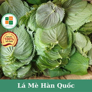 Hạt giống lá mè Hàn Quốc (lá vừng, lá kê nhíp dùng ăn đồ nướng)