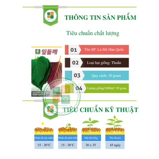 Hạt giống lá mè Hàn Quốc (lá vừng, lá kê nhíp dùng ăn đồ nướng)