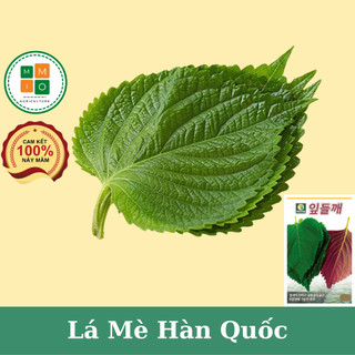 Hạt giống lá mè Hàn Quốc
