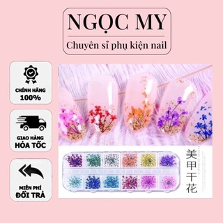 Set khoa khô , hoa khô làm nail
