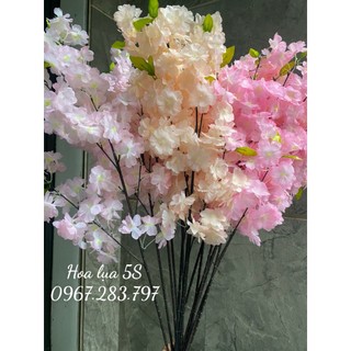 Combo 10 cành hoa giả anh đào chùm nhật bản 4 nhánh to decor trang trí quán - hoa lụa nhập khẩu